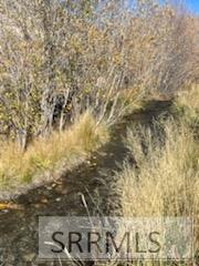5500 N Chilly Road, MACKAY, Idaho image 12