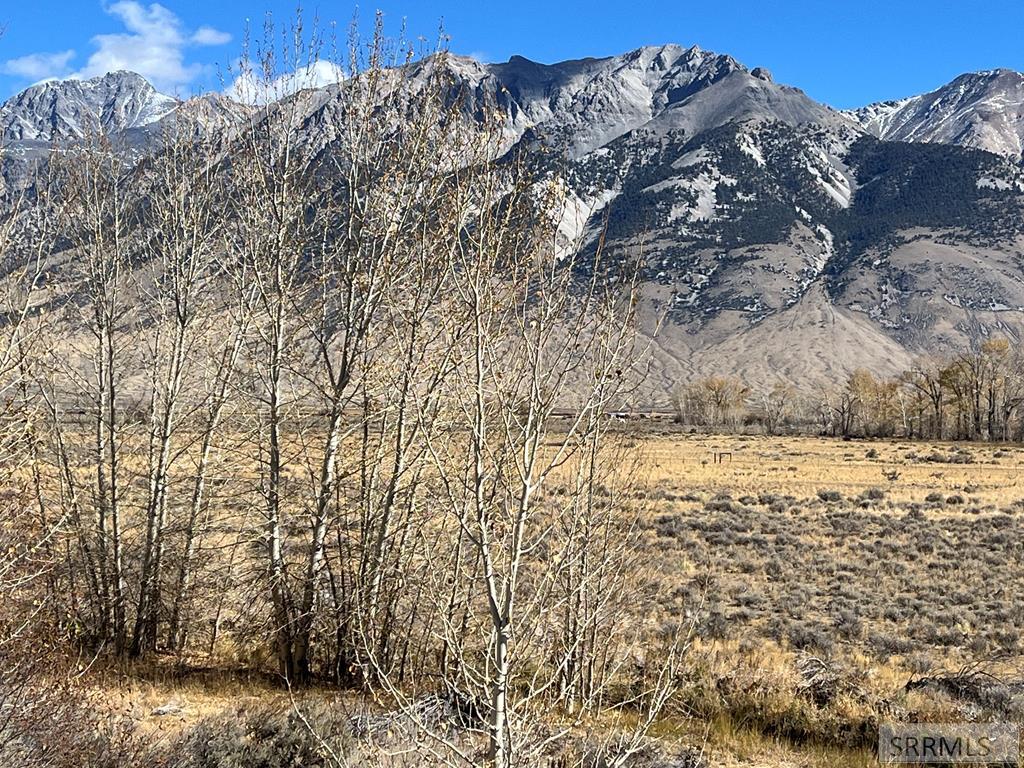 5500 N Chilly Road, MACKAY, Idaho image 26