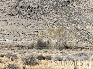 5500 N Chilly Road, MACKAY, Idaho image 19