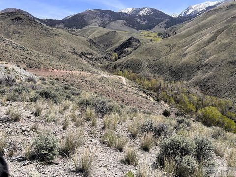 Photo of 000 McKim Creek Road, SALMON, ID 83467 (MLS # 2185705)