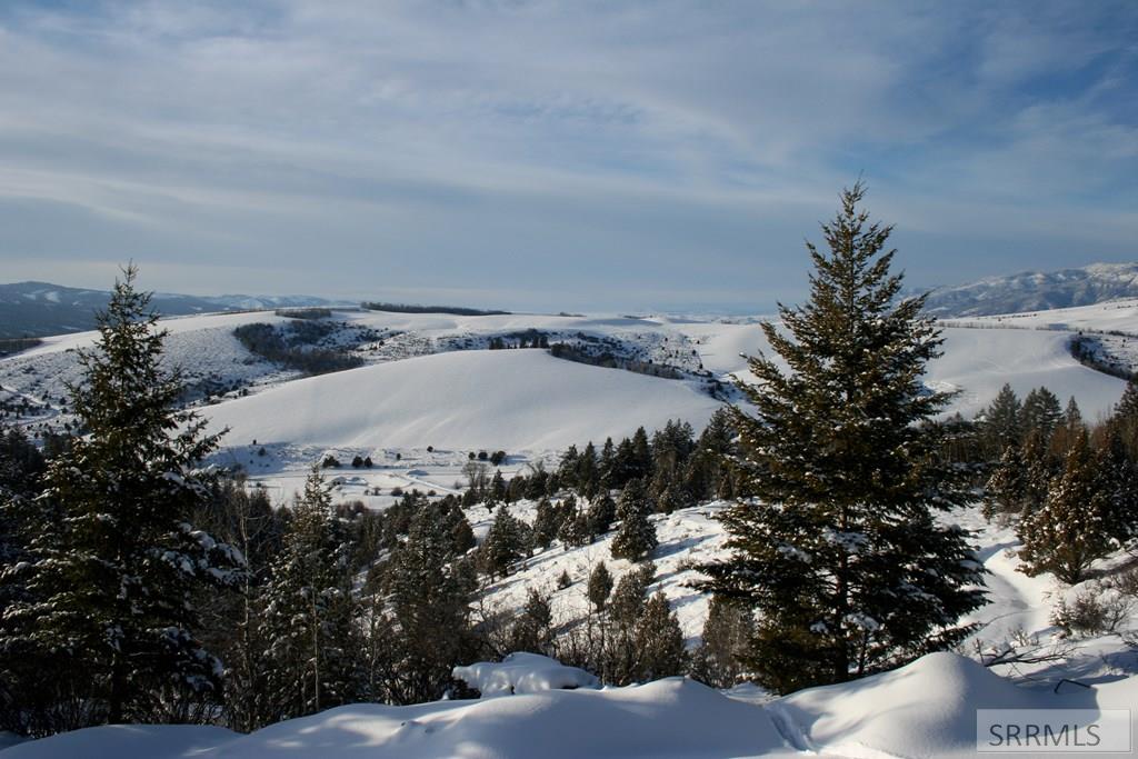 L31&32B1 Cutthroat Run, IRWIN, Idaho image 19