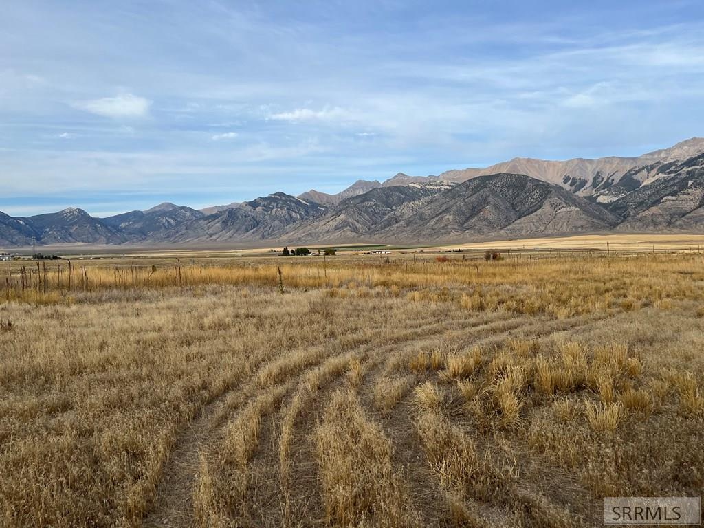 LOT 2 Wild Rose Lane, MACKAY, Idaho image 26