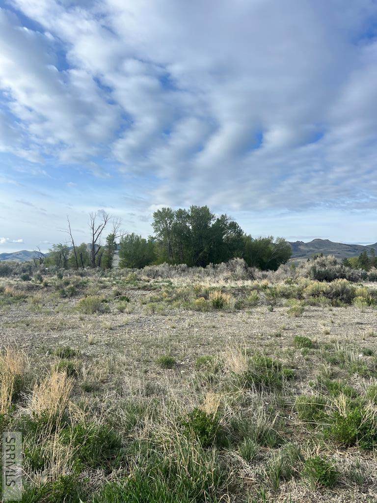 B1L10 Lasso Loop Road, MACKAY, Idaho image 4