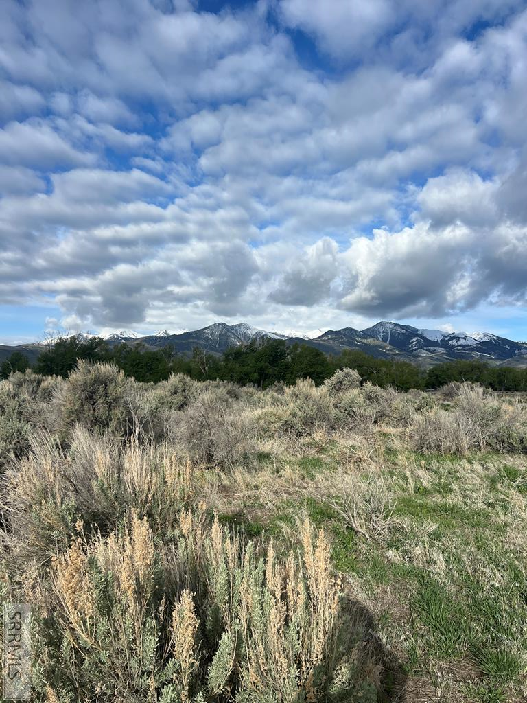 B1L10 Lasso Loop Road, MACKAY, Idaho image 10