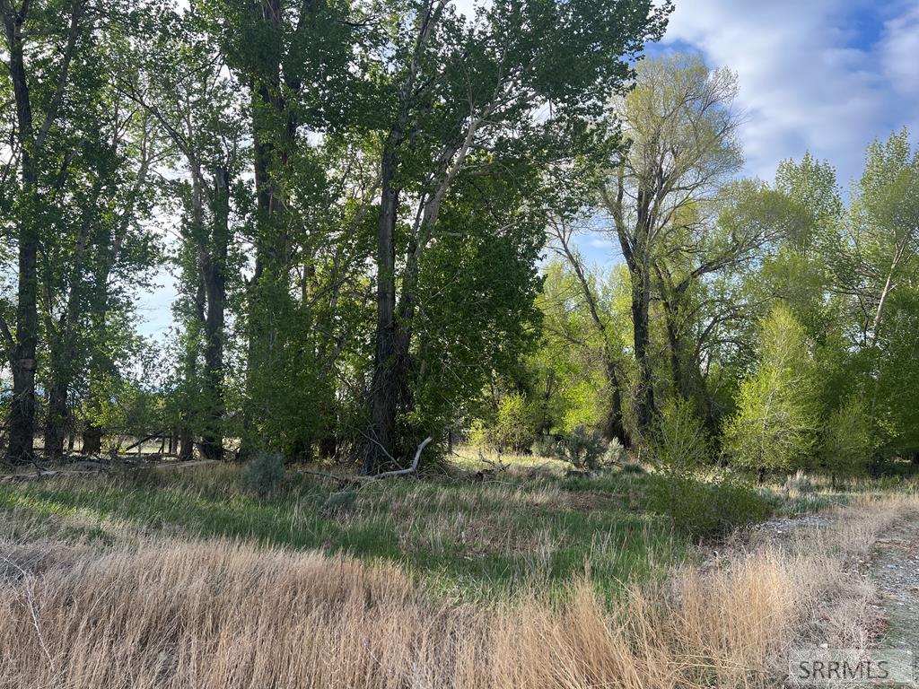 B1L10 Lasso Loop Road, MACKAY, Idaho image 3