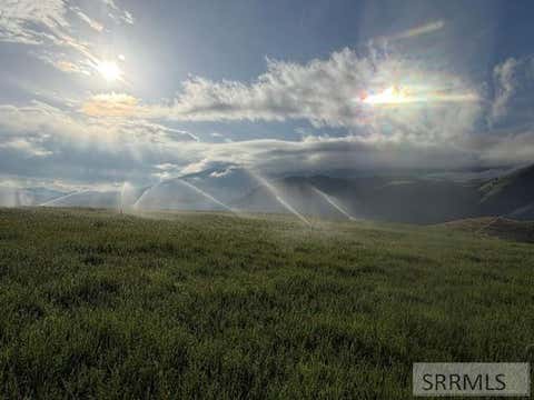 Vacant Land For Sale - TBD Williams Creek Road<br/> SALMON, ID 83467
