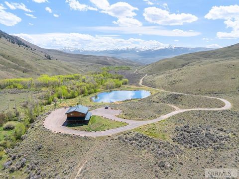 Vacant Land For Sale - 451 Peterson Creek Road<br/> LEADORE, ID 83464