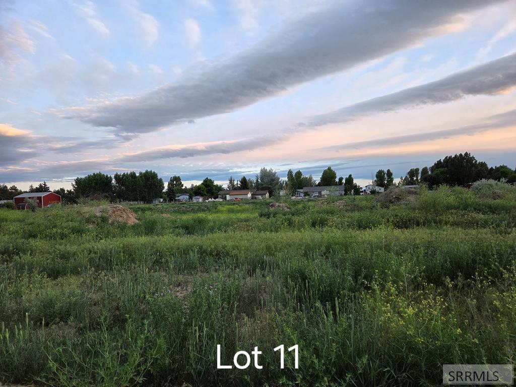 L11B1 E 228 N, RIGBY, Idaho image 3