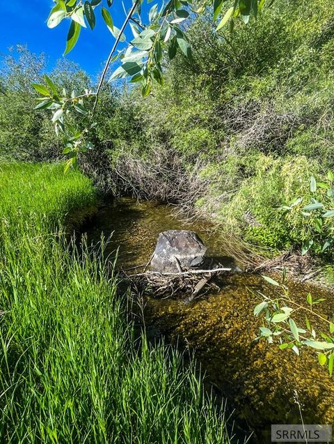 Vacant Land For Sale - TBD Trumpeter Road<br/> SWAN VALLEY, ID 83449