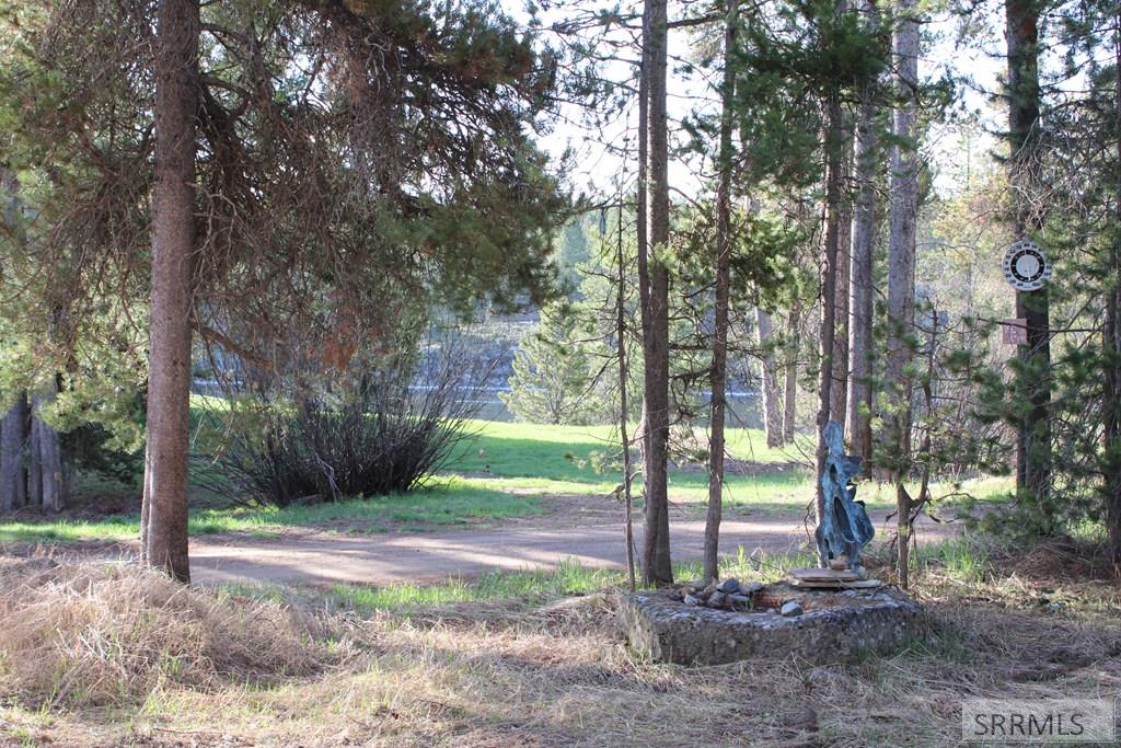 2813 E Pinehaven Drive, ISLAND PARK, Idaho image 5