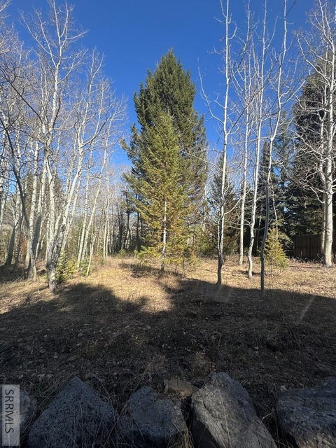 Vacant Land For Sale - 4788 Balsam Street<br/> ISLAND PARK, ID 83429