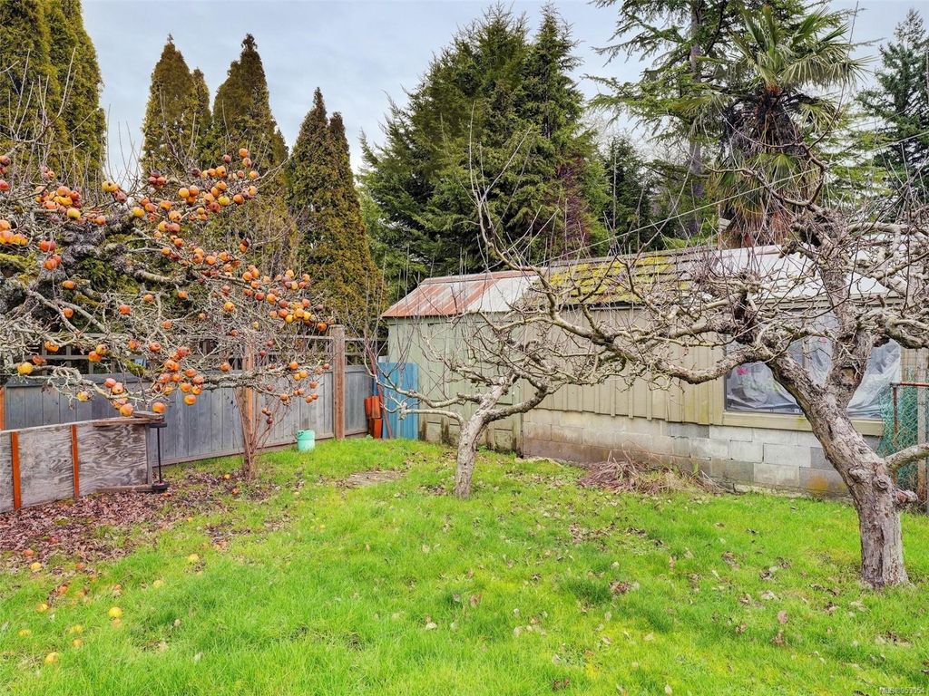 listing image 16044014601242389093