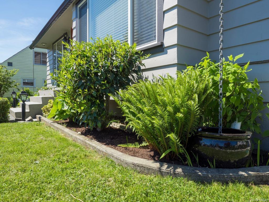 listing image 16040249165829646876