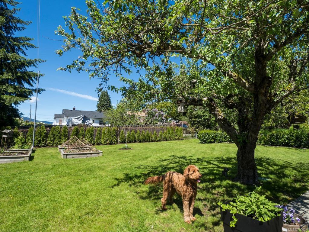 listing image 16049872572951590693