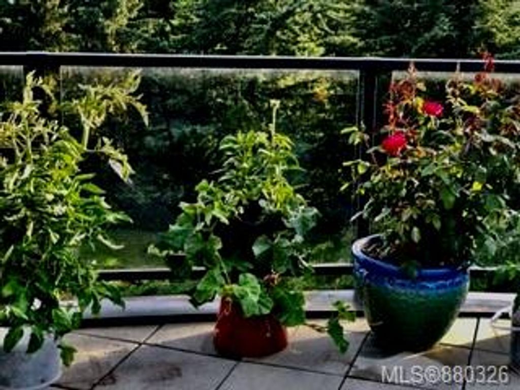 listing image 16042970659762462973