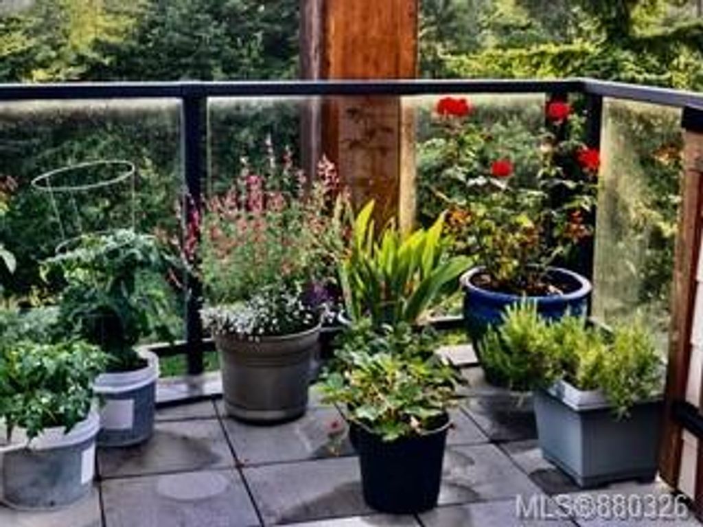 listing image 16047264265386755572