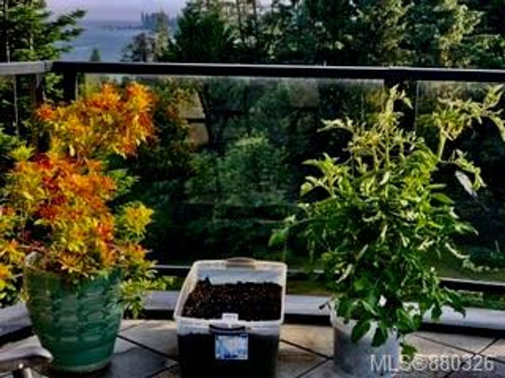 listing image 16040231259200996135