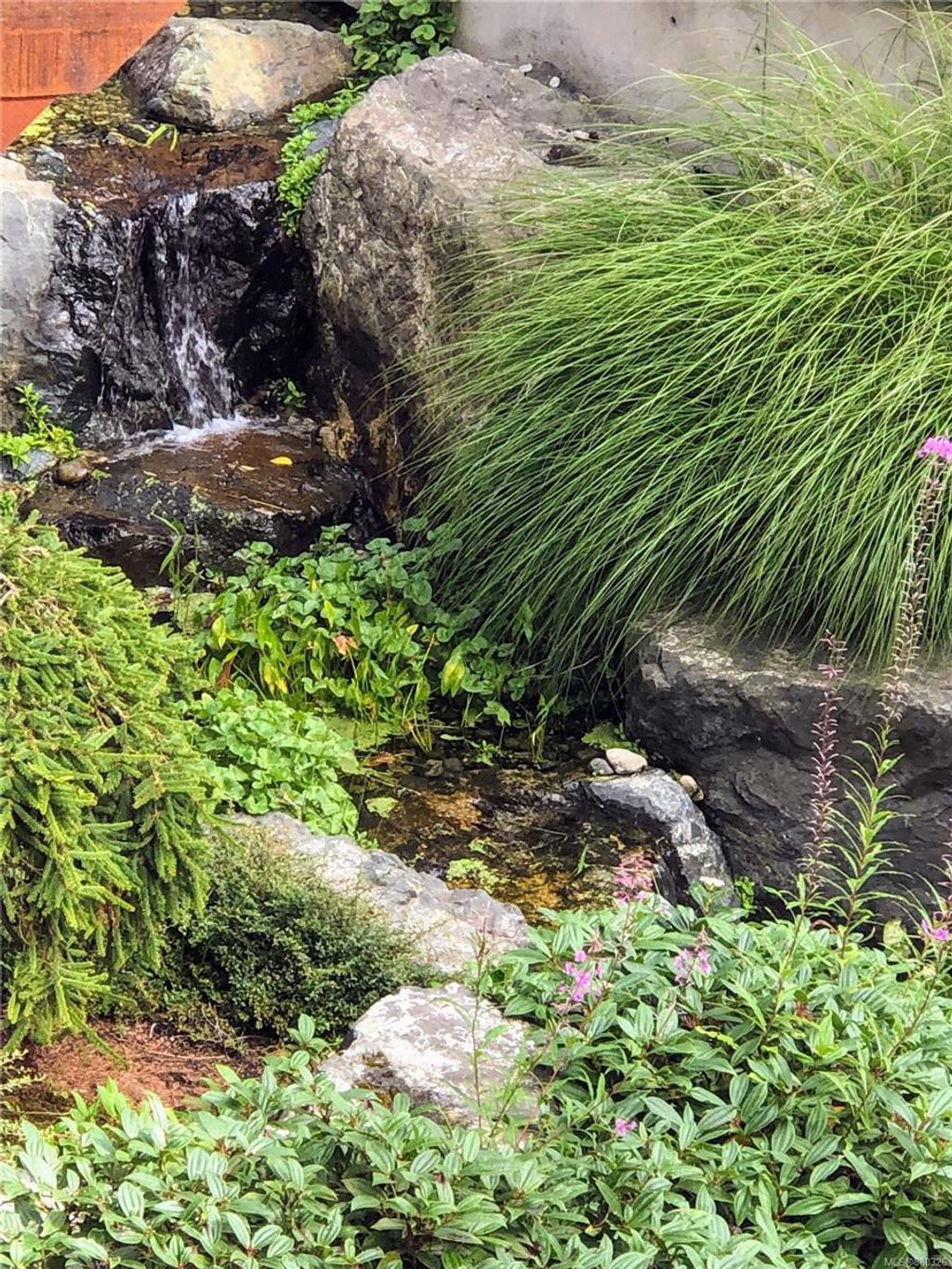 listing image 16043078106470336335