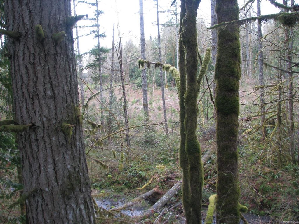 listing image 16048937503567627932