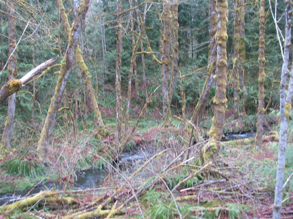 listing image 16045209414433041946