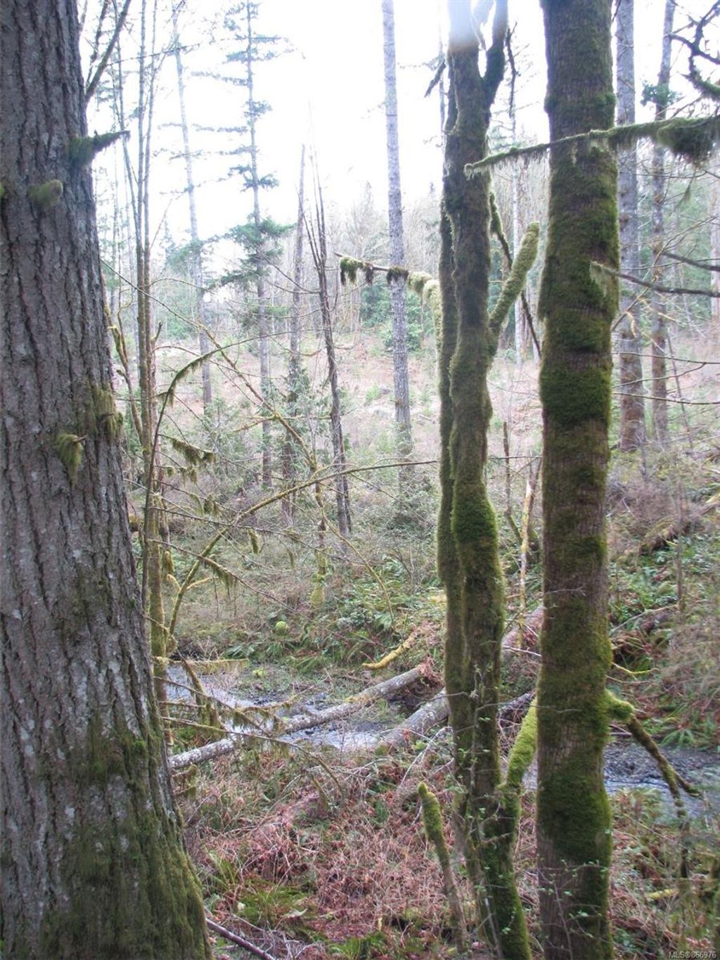 listing image 16040503873781425827