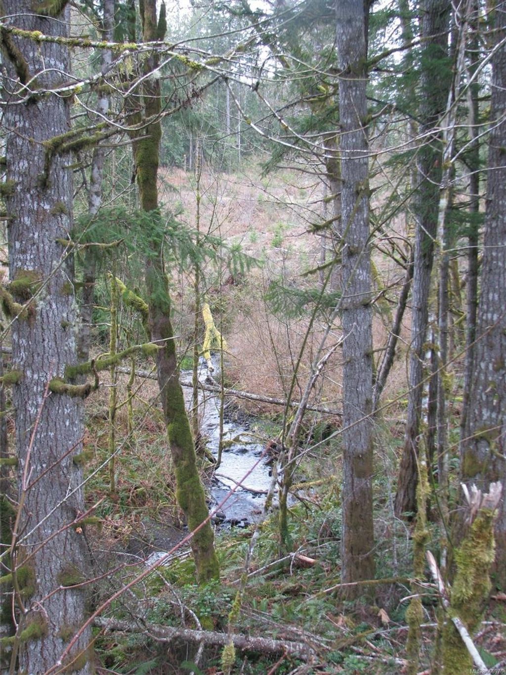 listing image 16048169218499116412