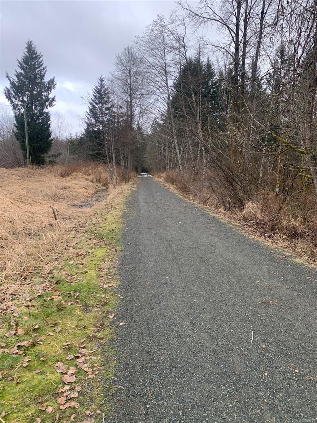 listing image 16046957118034810086