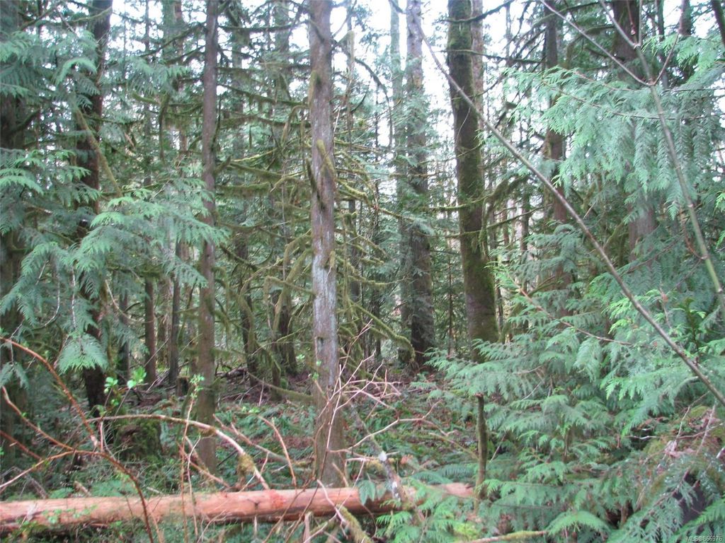 listing image 16046482901442431952