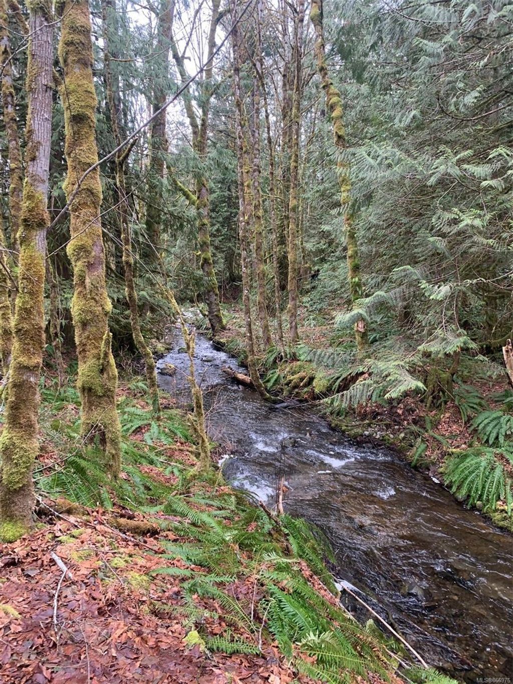 listing image 16044281961306347857