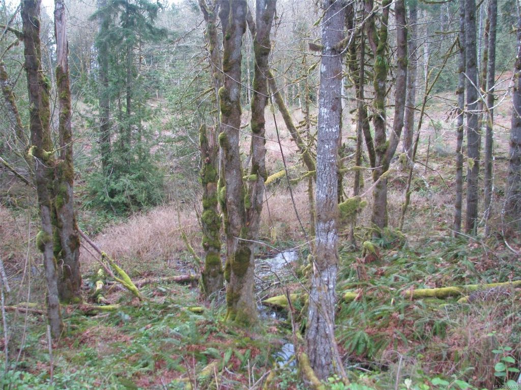 listing image 16049811603988472372