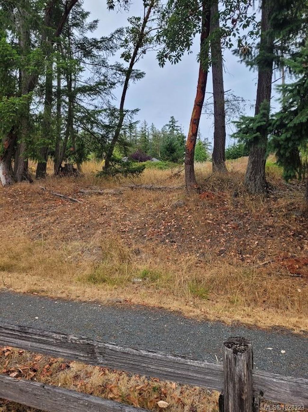 listing image 16047420924496321270