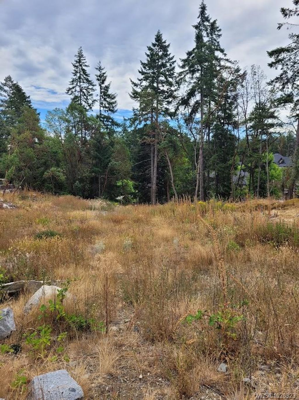 listing image 16045123146248367691