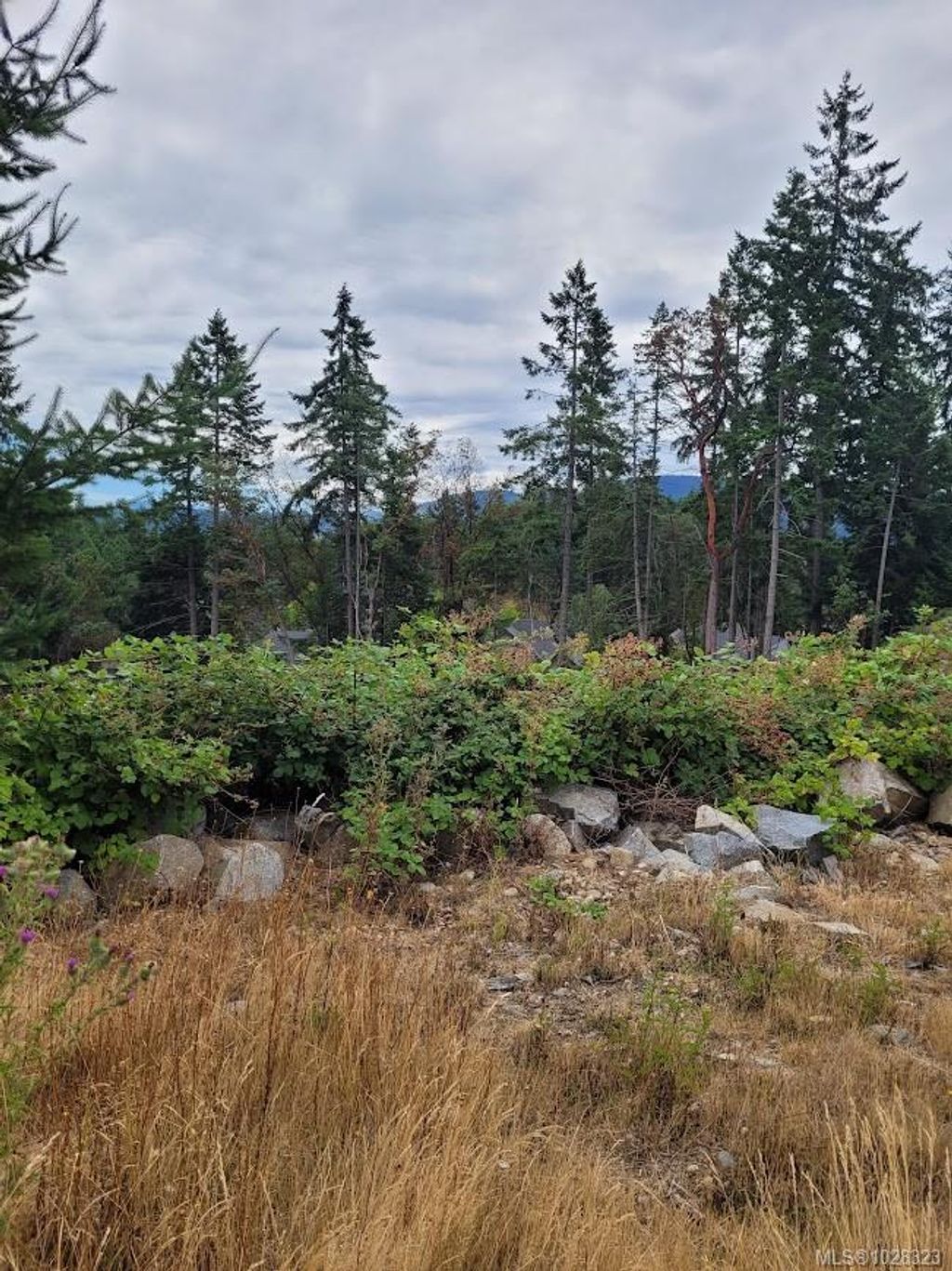 listing image 16044982993895529142