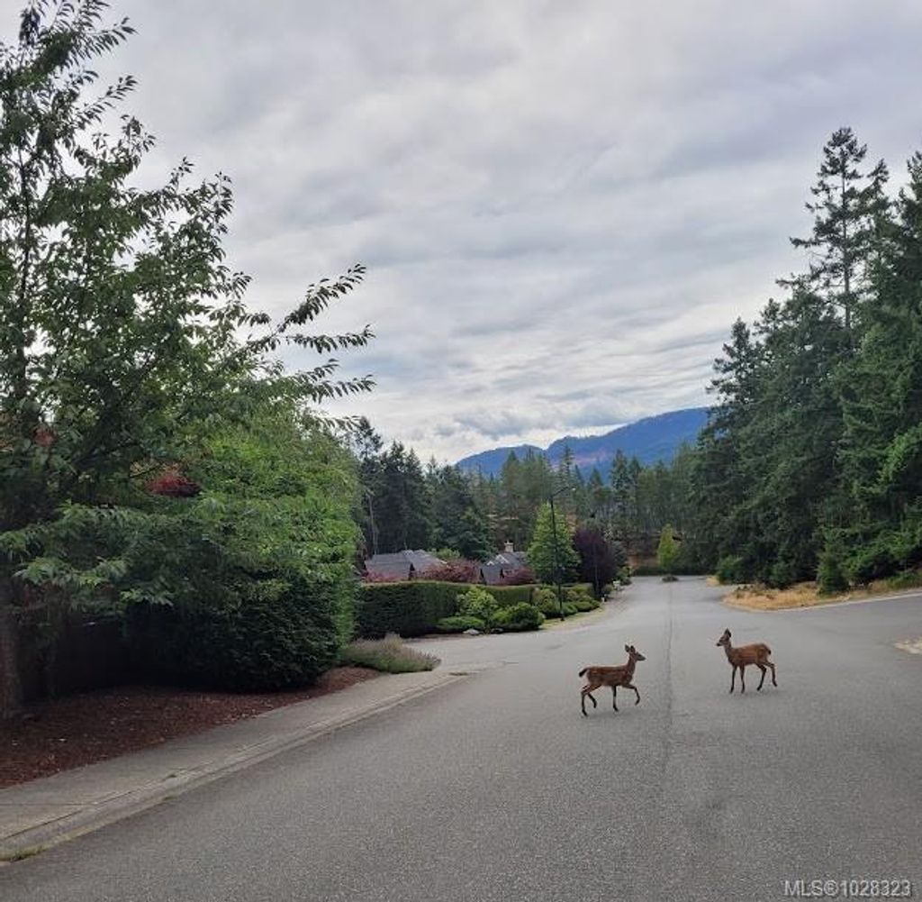 listing image 16046193213087561865