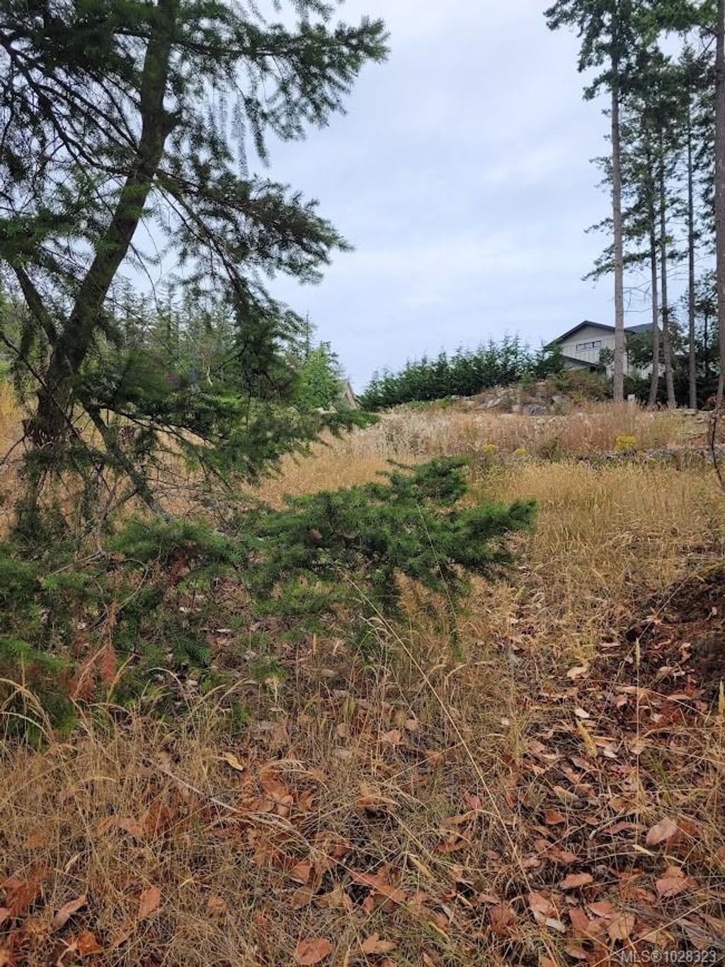 listing image 16043089747014678366