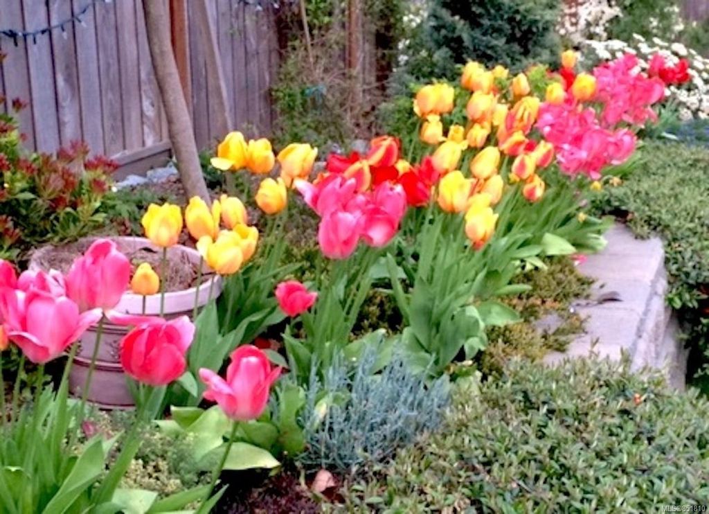 listing image 16044732861006439618