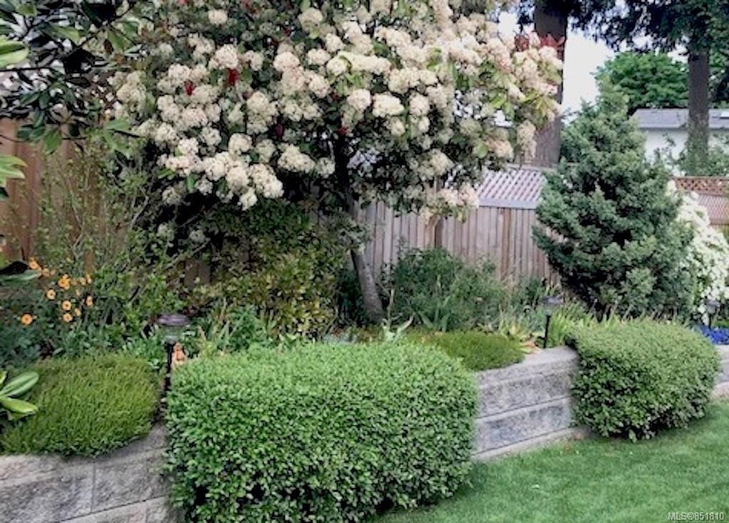 listing image 16040284129758283883