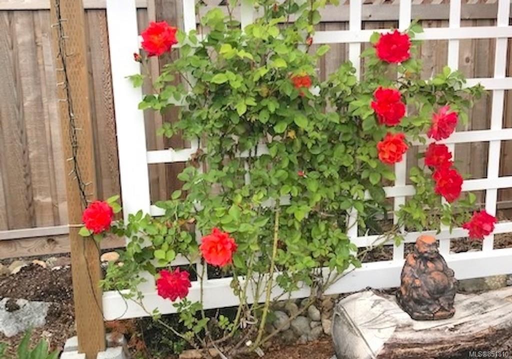 listing image 16045450144163239944