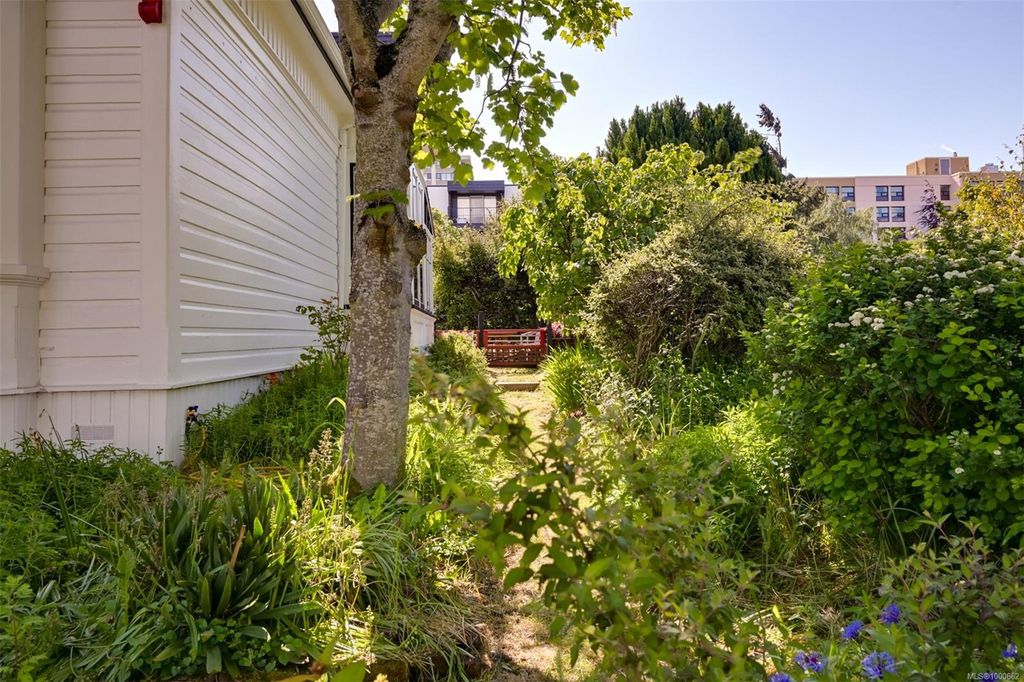 listing image 16049681754494474913
