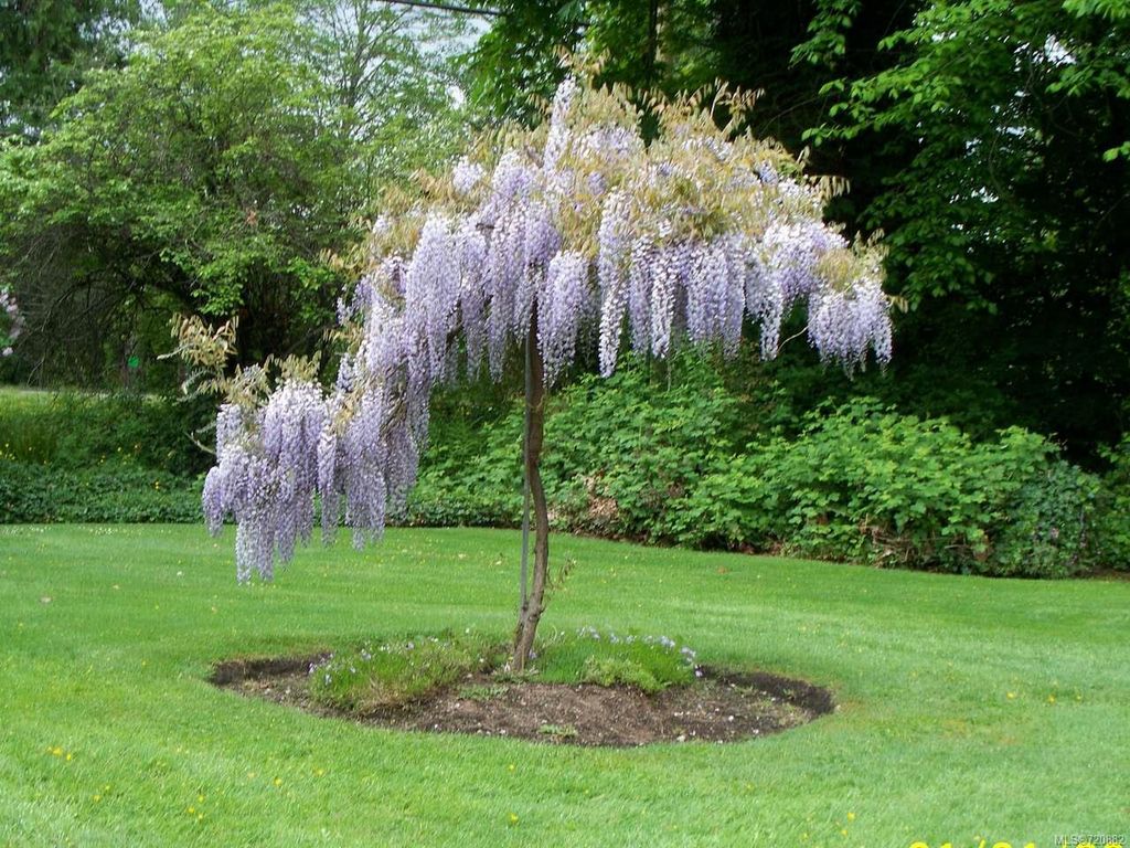 listing image 16045989321357978050