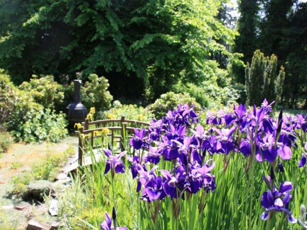 listing image 16040510984968624734