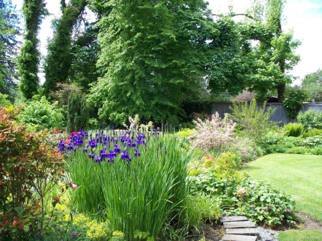 listing image 16047329673268944985