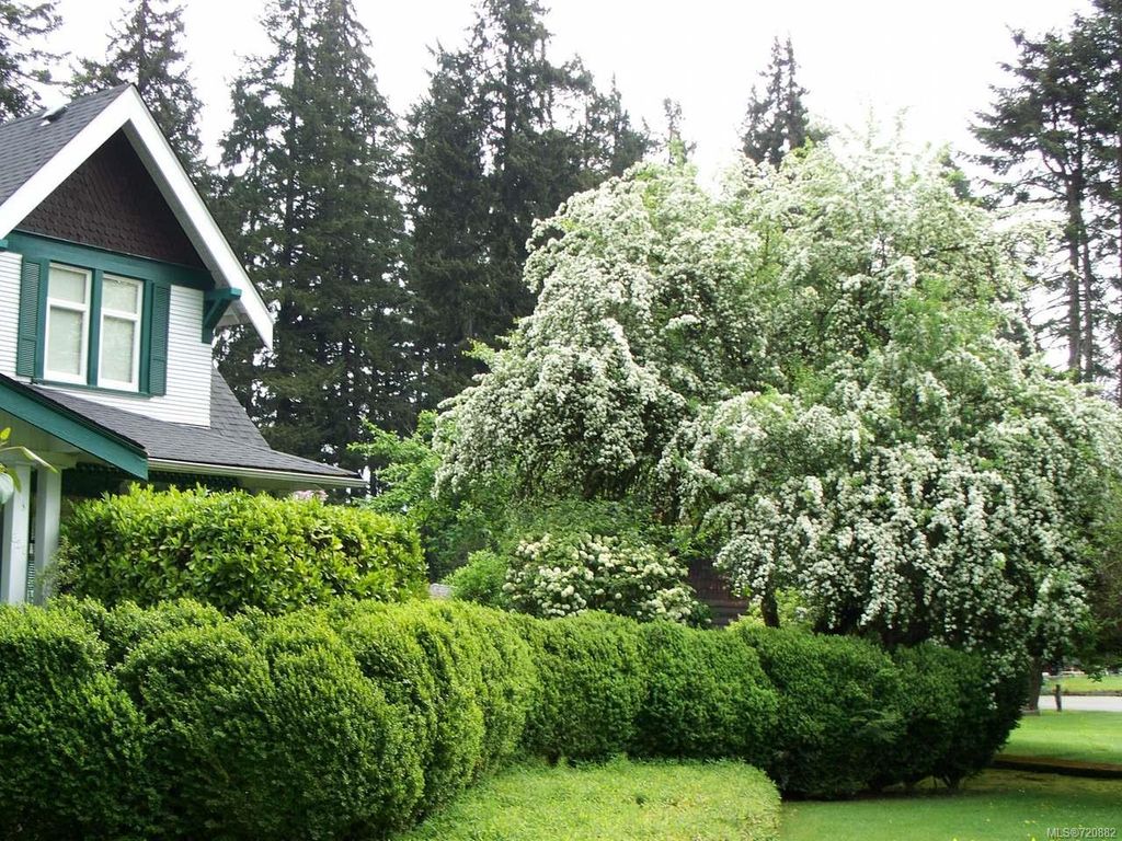 listing image 16048727338840849857