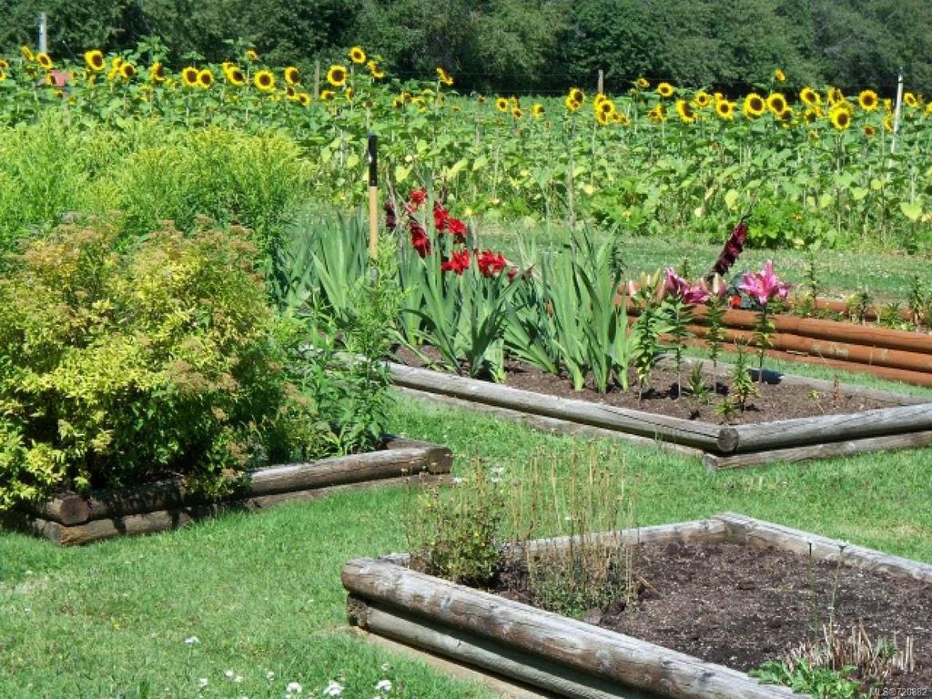 listing image 16045247480821384830