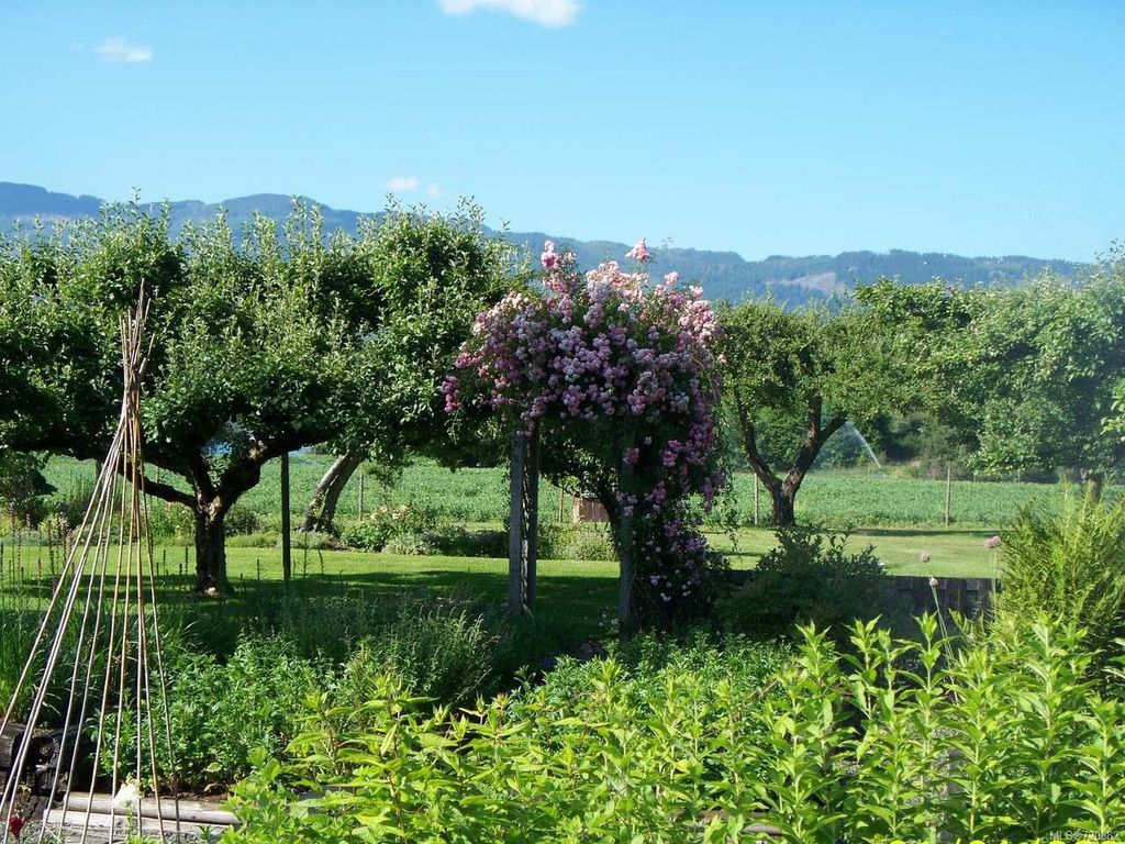 listing image 16047554730544723530