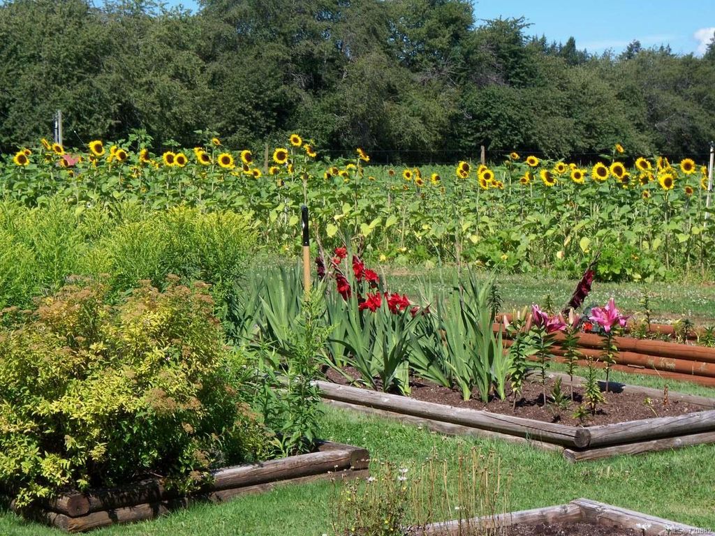 listing image 16044141457488209930