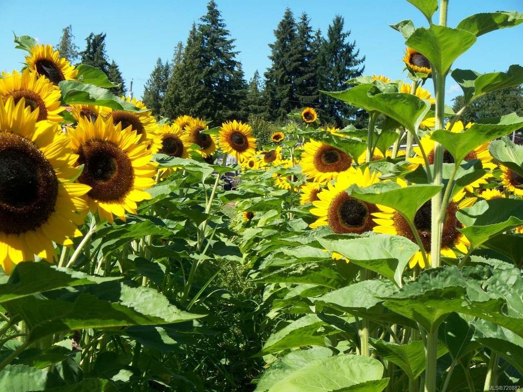 listing image 16047503062679587932