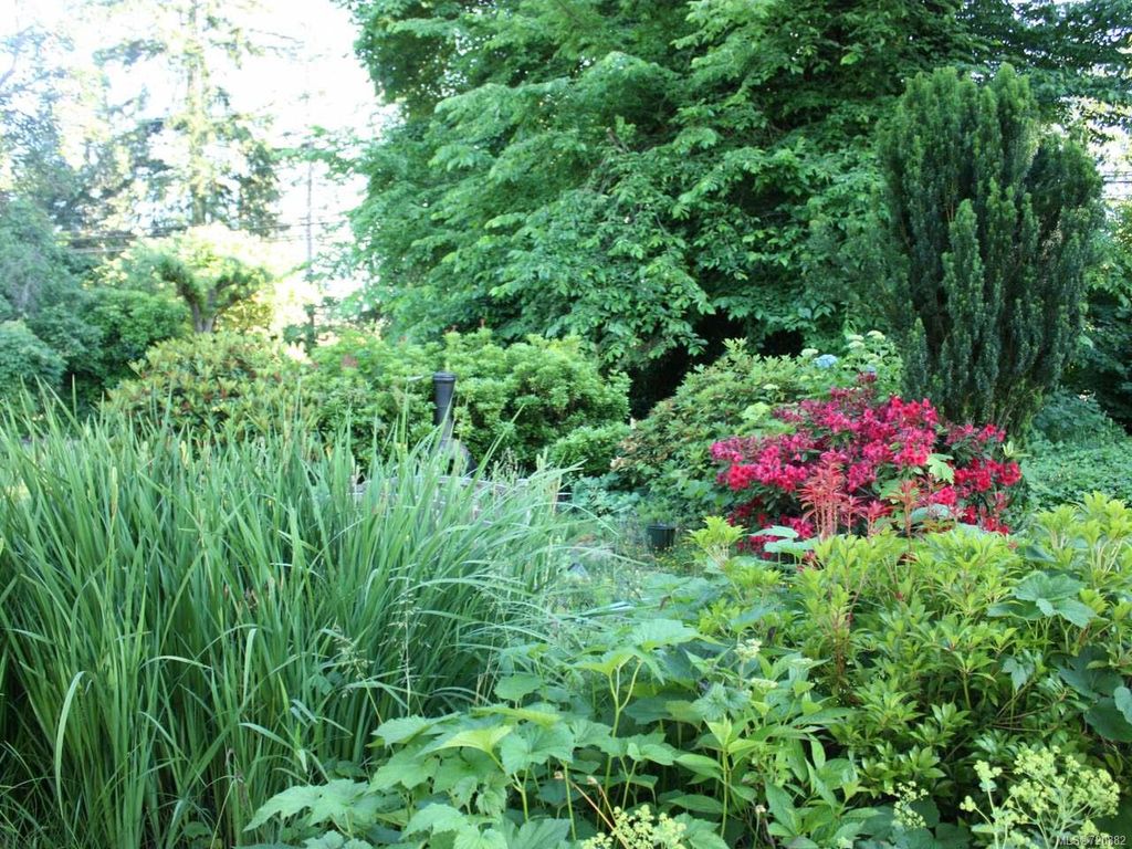 listing image 16046318512755028993