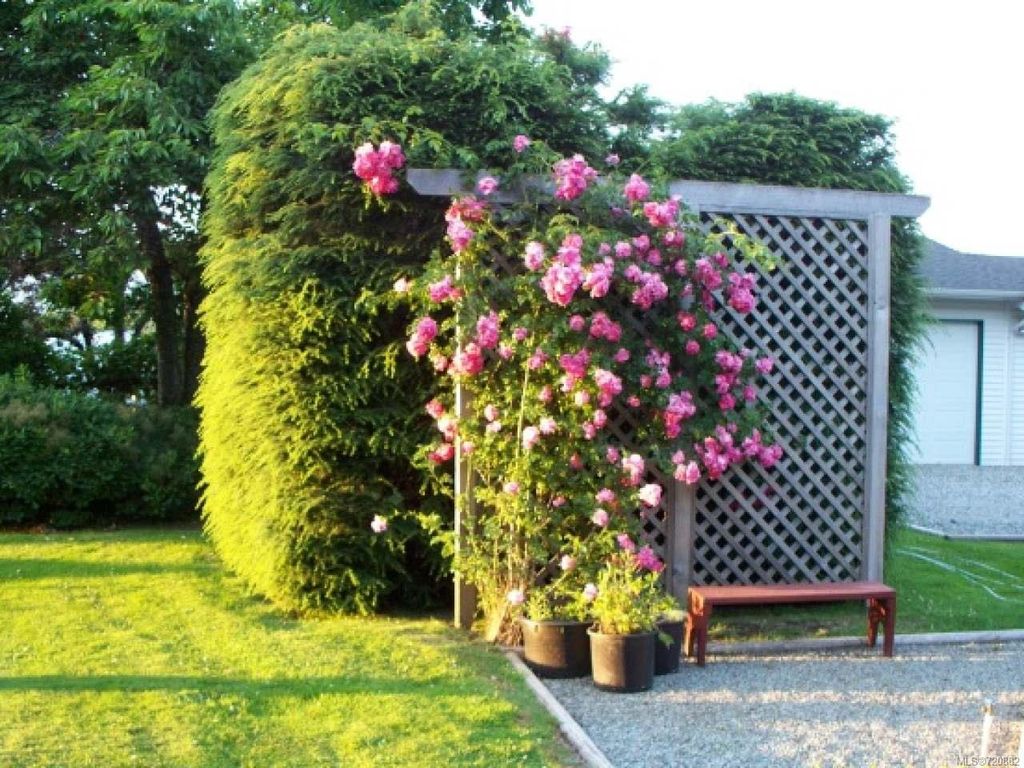 listing image 16045753223791322269