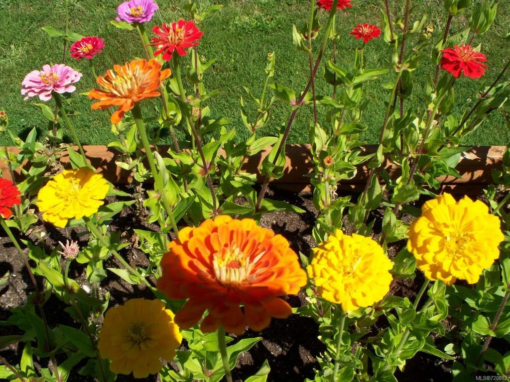 listing image 16048839120244959866